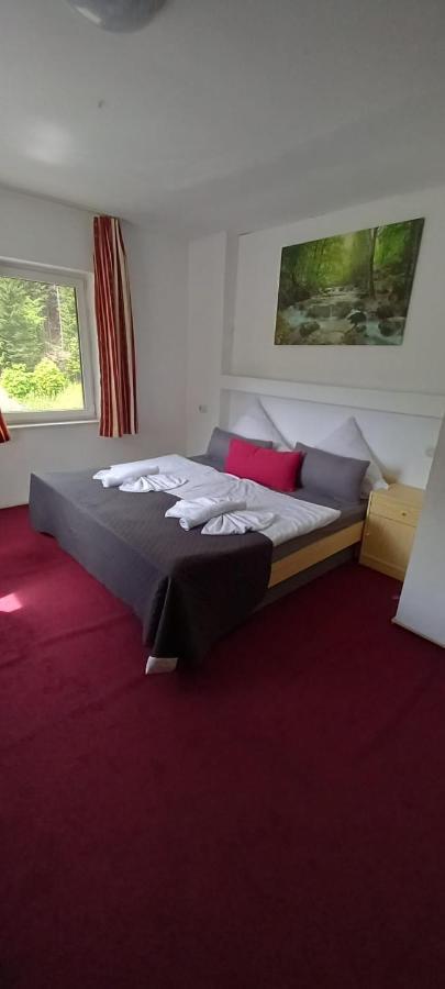 Gasthuis Waldpension Pfeiferhaus 2*