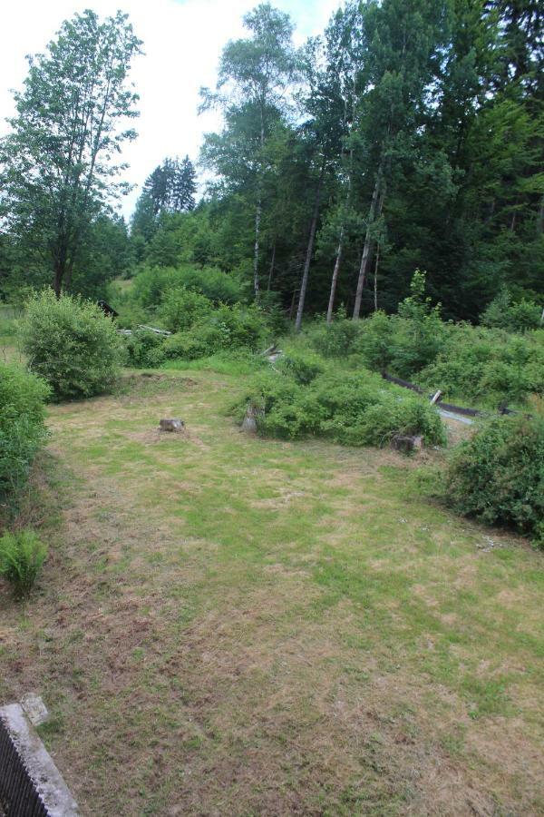 Waldpension Pfeiferhaus 2*
